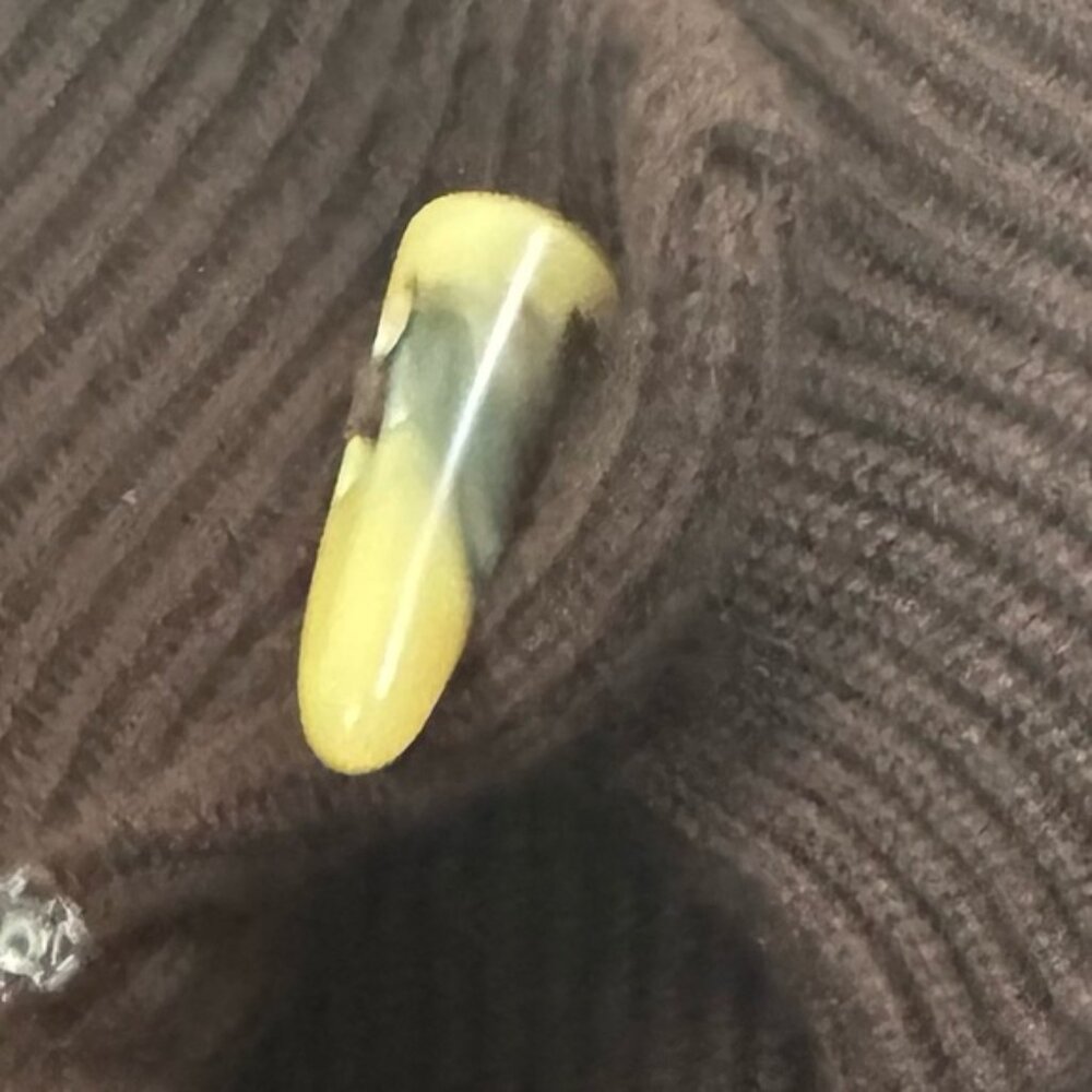 Jones NY Ribbed Wool Angora Cardigan Toggle Button Knit Sweater Jacket Top Tan M - Picture 9 of 16